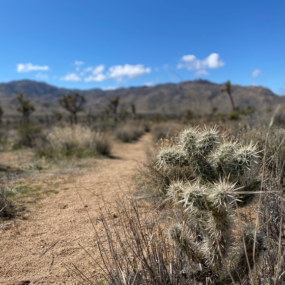 Meet your Posher, Kevin - Picture 1 of 1